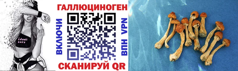 Псилоцибиновые грибы мицелий Жуковский